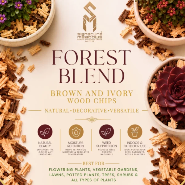 Forest Blend